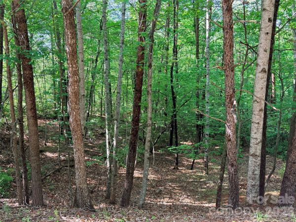 0 Mcdaniel Court , Lake Lure, NC 28746