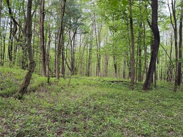Kellogg Hill Road, South Dayton, NY 14138