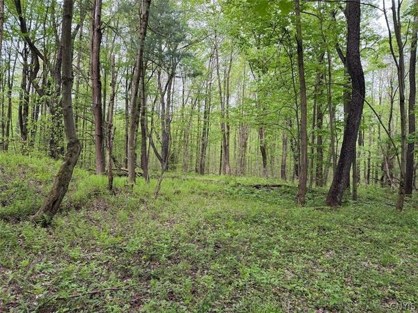 Kellogg Hill Road , South Dayton, NY 14138