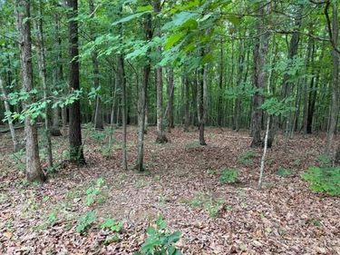 2 Red Bird Drive, Gladstone, VA 24553