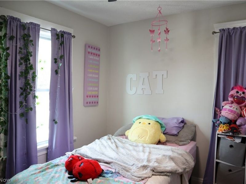 3577 W 105th Street, Cleveland, OH 44111 Photo 11