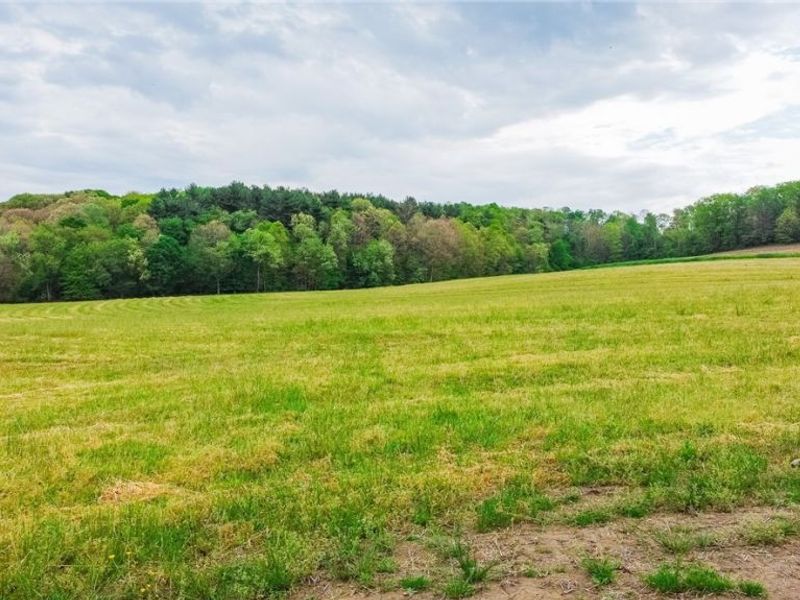 State Route 644 , Salineville, OH 43945 Photo 5
