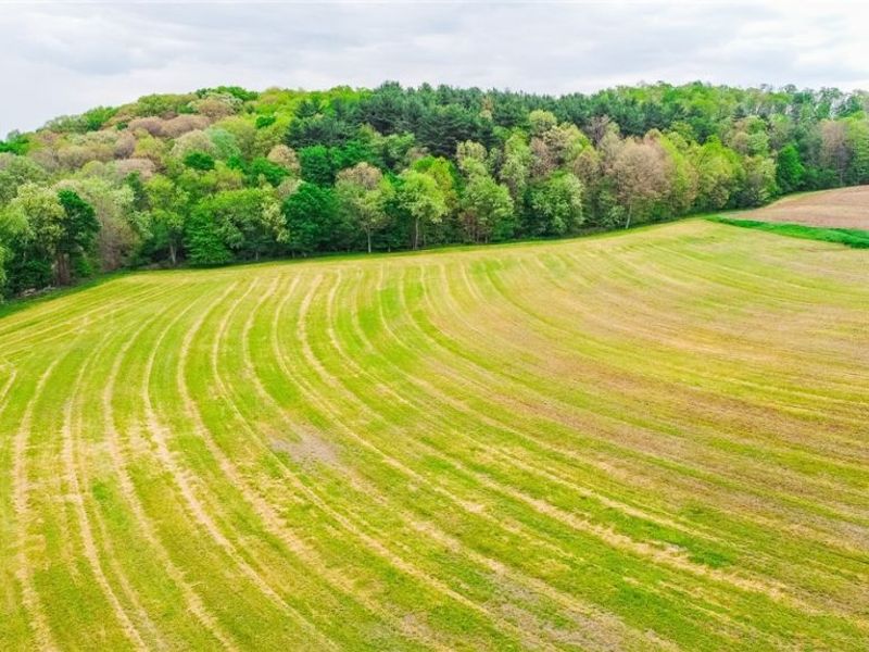 State Route 644 , Salineville, OH 43945 Photo 6