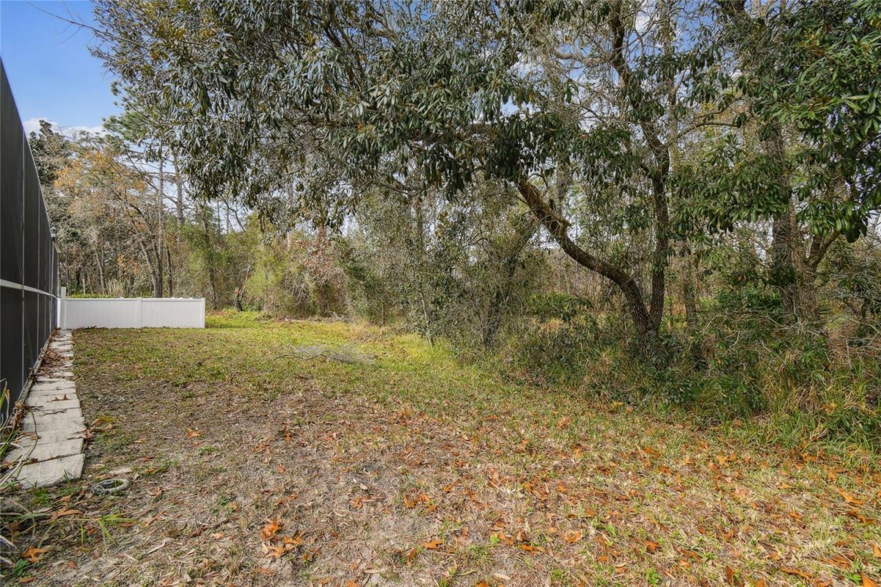 11 Carnation Court E, Homosassa, FL 34446 Photo