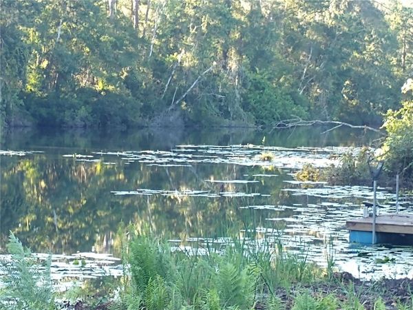 0000 EAGLE BOULEVARD , LAND O LAKES, FL 34639