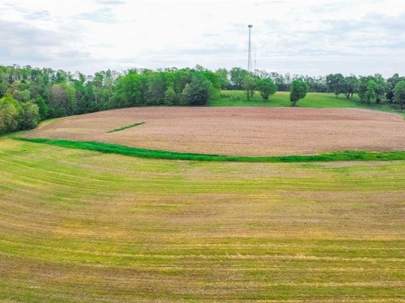 State Route 644 , Salineville, OH 43945 Photo 8