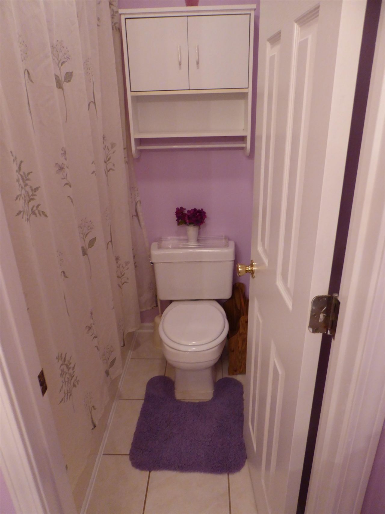 541 White River Ct.  Photo 18
