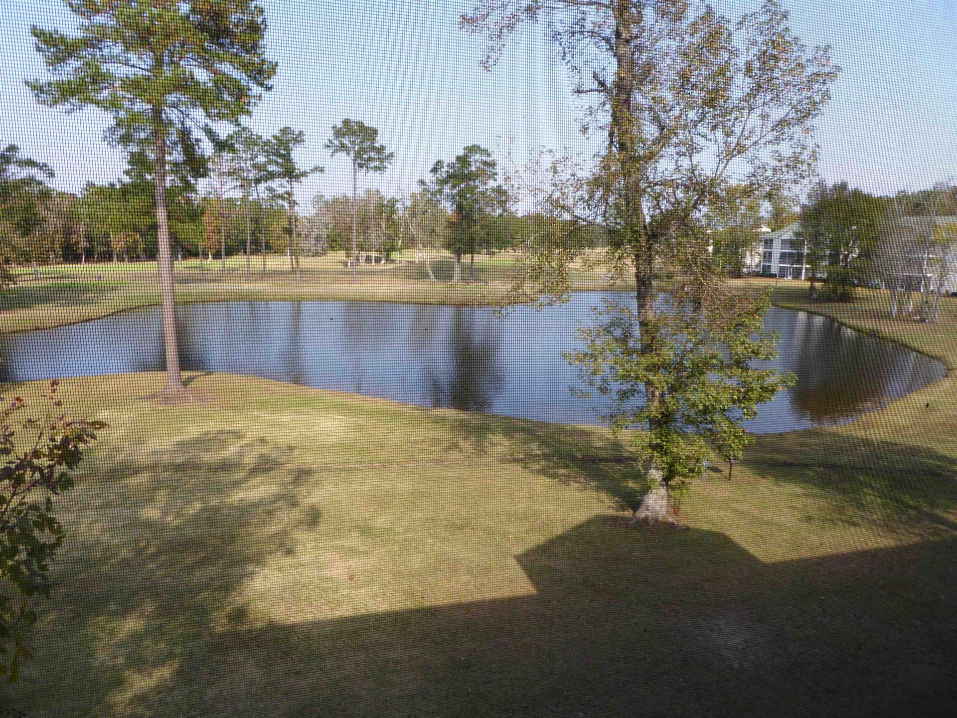 541 White River Ct.  Photo 20