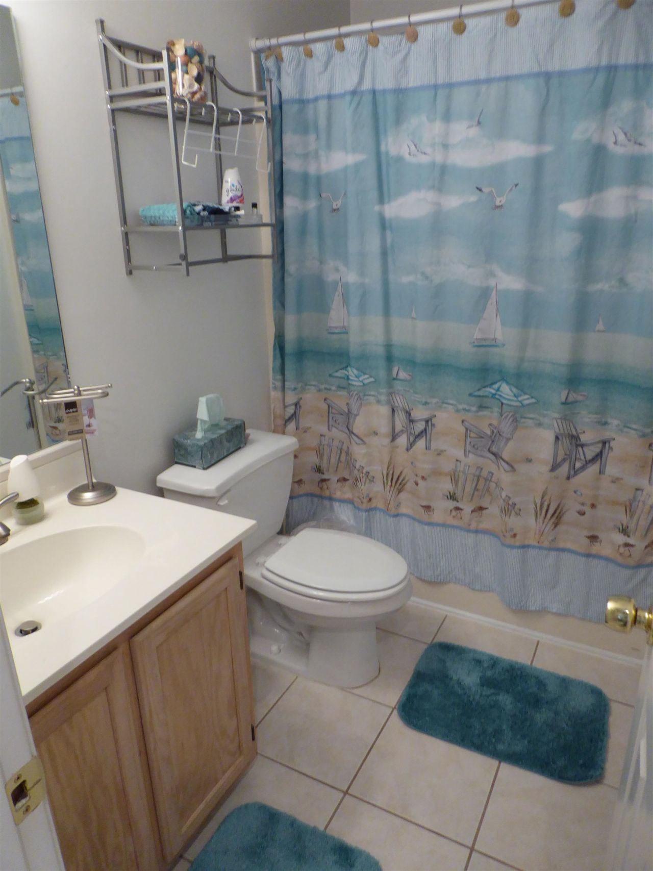 541 White River Ct.  Photo 22