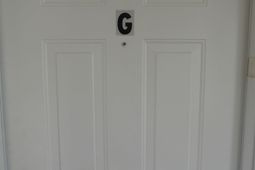 541 White River Ct.  photo 4
