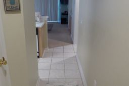 541 White River Ct.  photo 4
