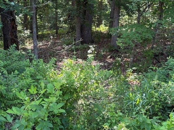 TBD Drayton Circle , Bella Vista, AR 72715