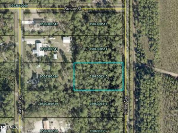 10225 AMOS Avenue, Hastings, FL 32145