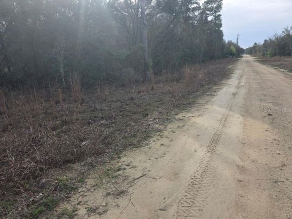 NE 60 PLACE , BRONSON, FL 32621