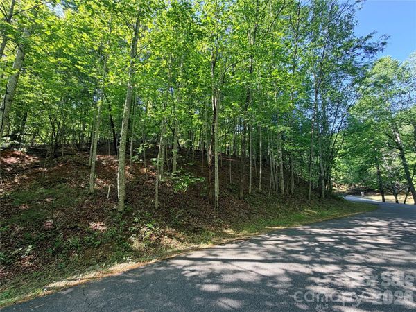 0000 Lakewood Drive , Lake Lure, NC 28746