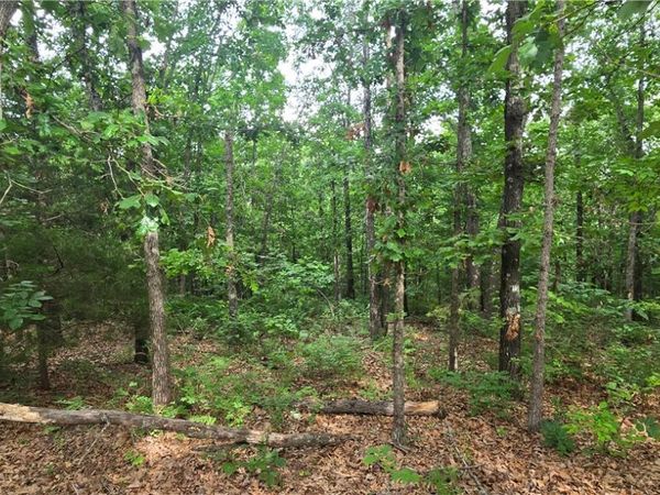 Laurencekirk Place , Bella Vista, AR 72715