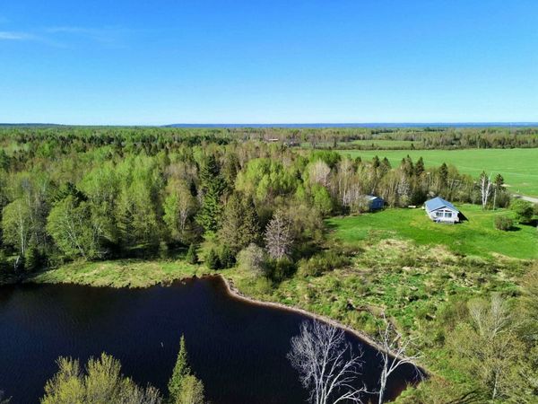 12164 W Irish Line RD, Brimley/Bay Mills, MI 49715