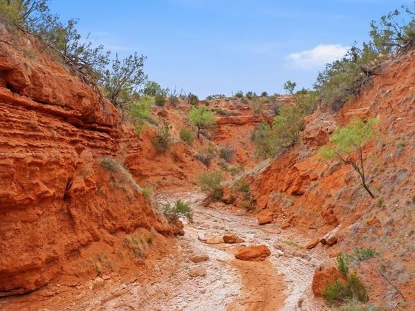 1245 County Road 349 , Rotan, TX 79546