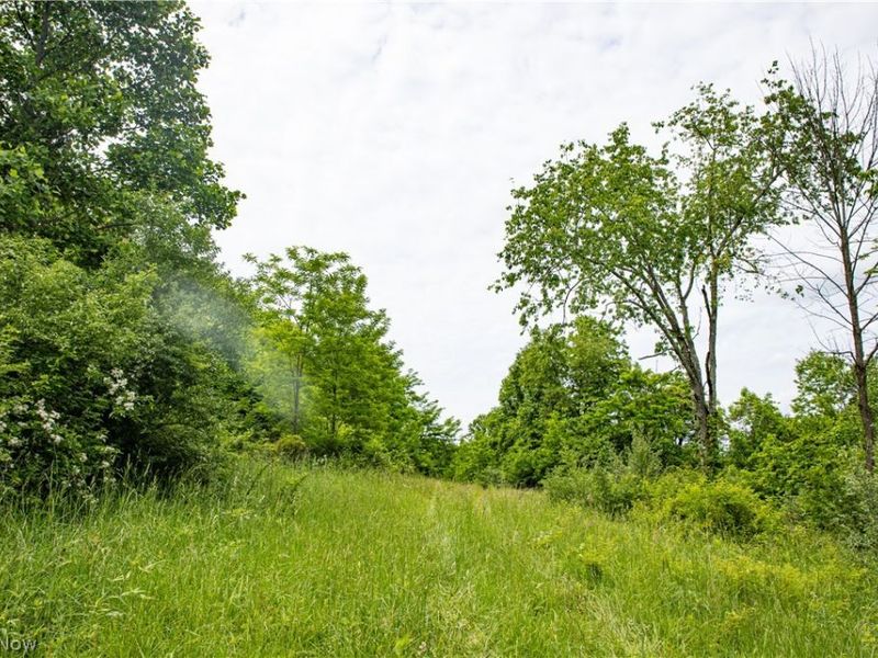 52740 Cr 425 , Fresno, OH 43824 Photo 11