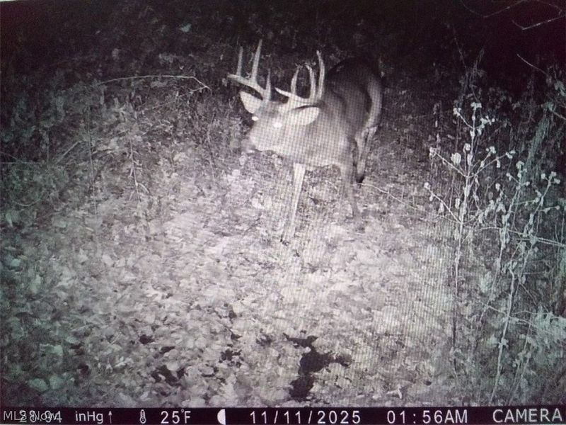 52740 Cr 425 , Fresno, OH 43824 Photo 22