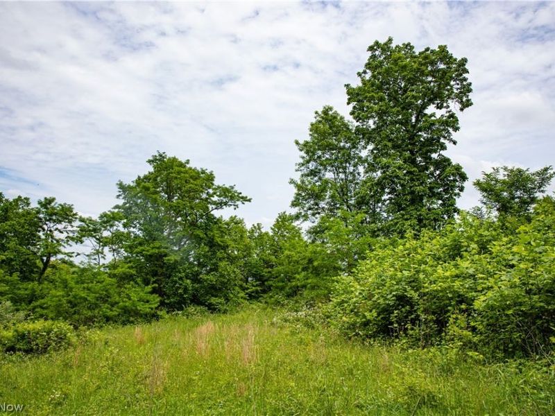 52740 Cr 425 , Fresno, OH 43824 Photo 3
