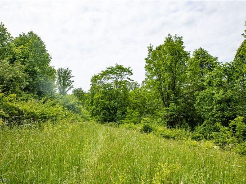 52740 Cr 425 , Fresno, OH 43824 Photo 30
