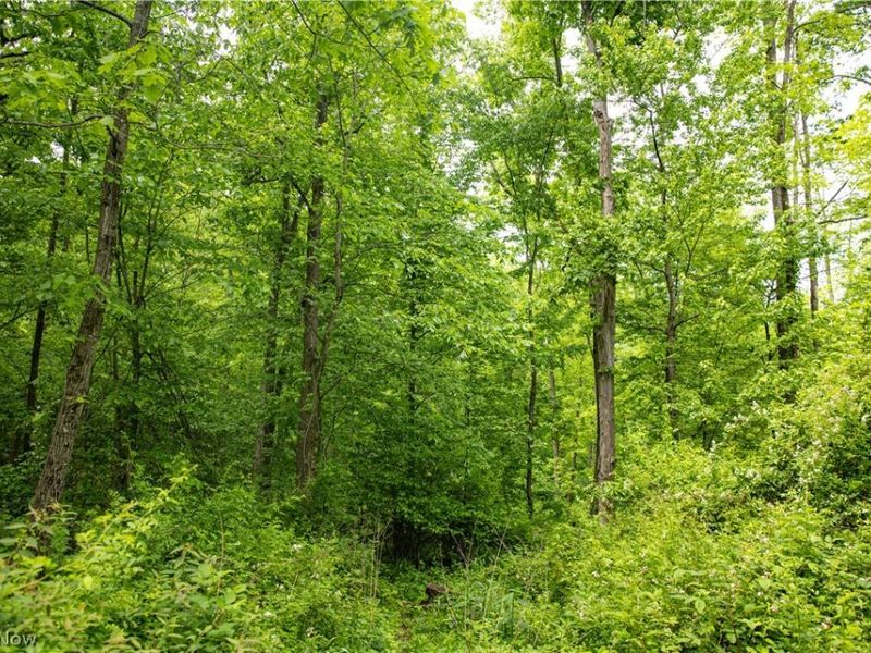 52740 Cr 425 , Fresno, OH 43824 Photo 31