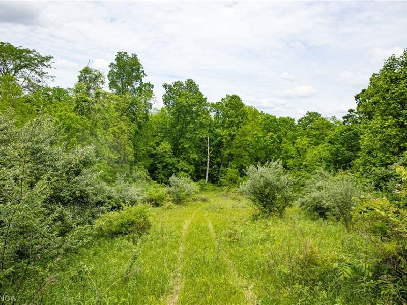 52740 Cr 425 , Fresno, OH 43824 Photo 33