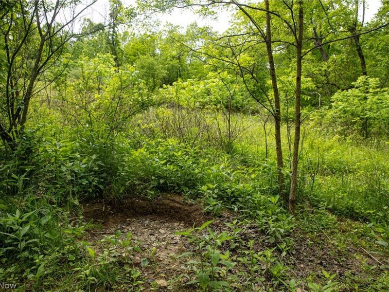 52740 Cr 425 , Fresno, OH 43824 Photo 34