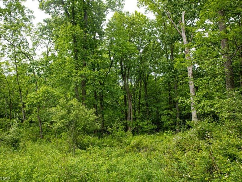 52740 Cr 425 , Fresno, OH 43824 Photo 35