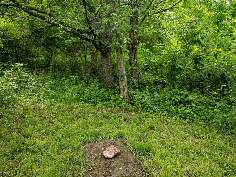 52740 Cr 425 , Fresno, OH 43824 Photo 36