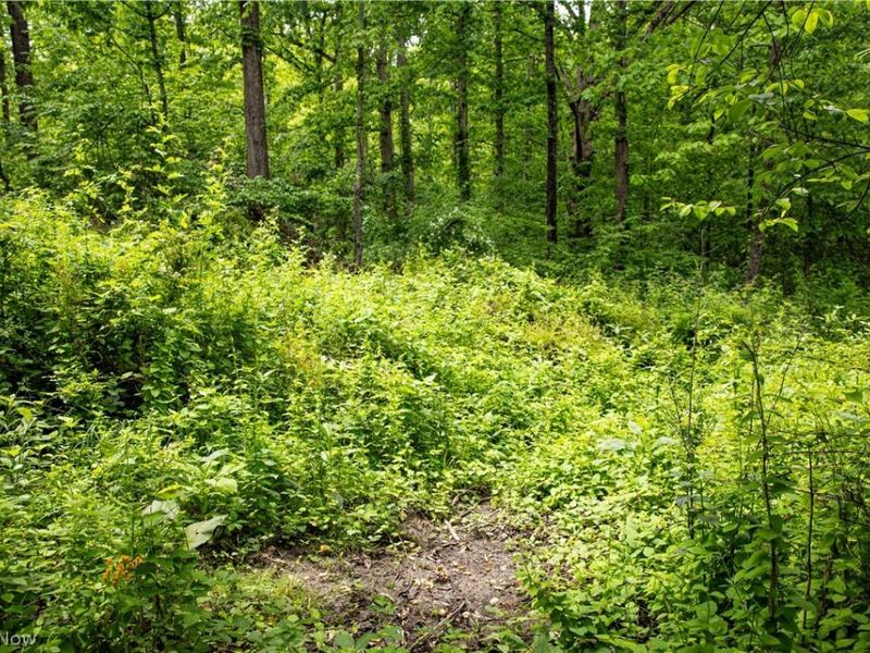 52740 Cr 425 , Fresno, OH 43824 Photo 5