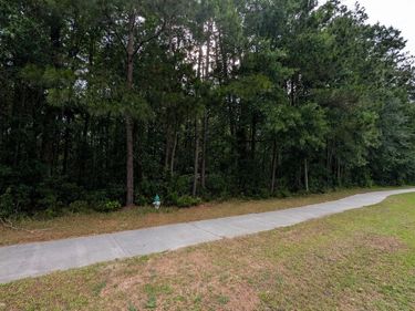 0 Harris Trail Road, Richmond Hill, GA 31324