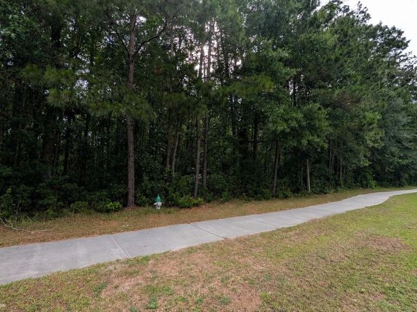 0 Harris Trail Road, Richmond Hill, GA 31324