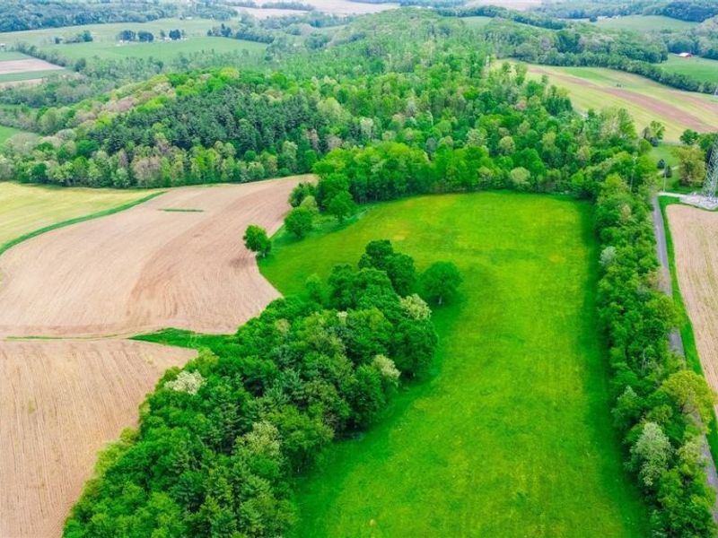 Summitville Road, Salineville, OH 43945 Photo 10