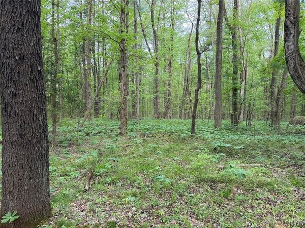 Kellogg Hill Road , South Dayton, NY 14138