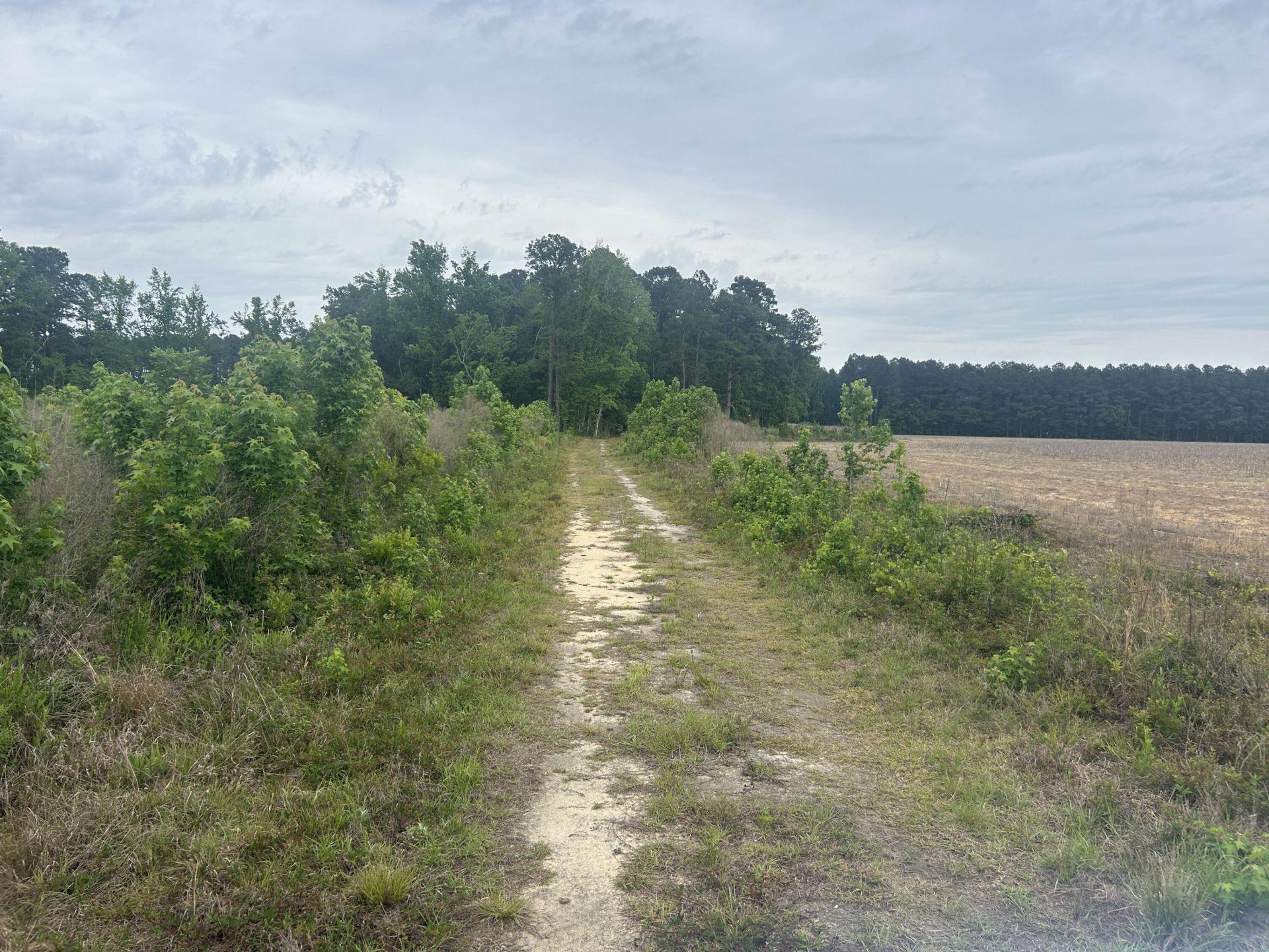 0 Pineview Farm Road Photo 10