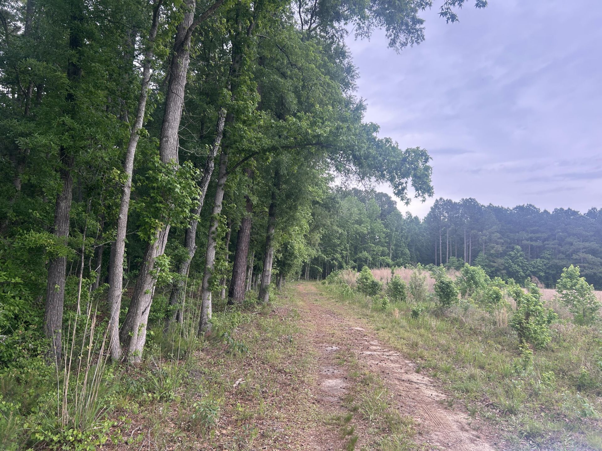 0 Pineview Farm Road Photo 11