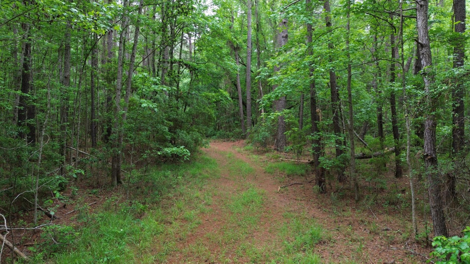 0 Pineview Farm Road Photo 15