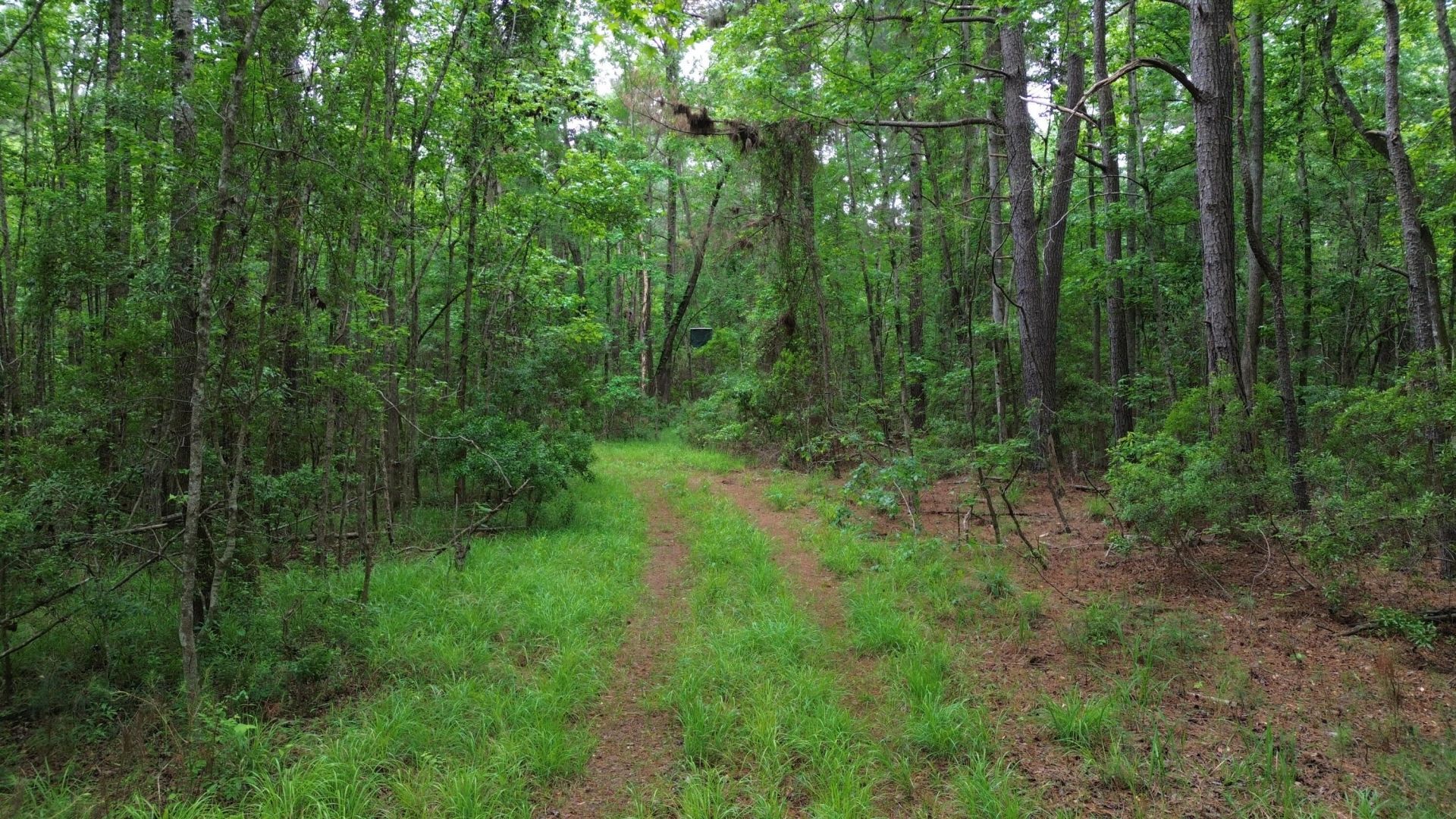0 Pineview Farm Road Photo 16