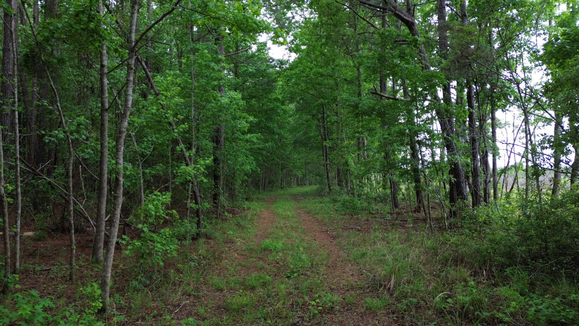 0 Pineview Farm Road Photo 18