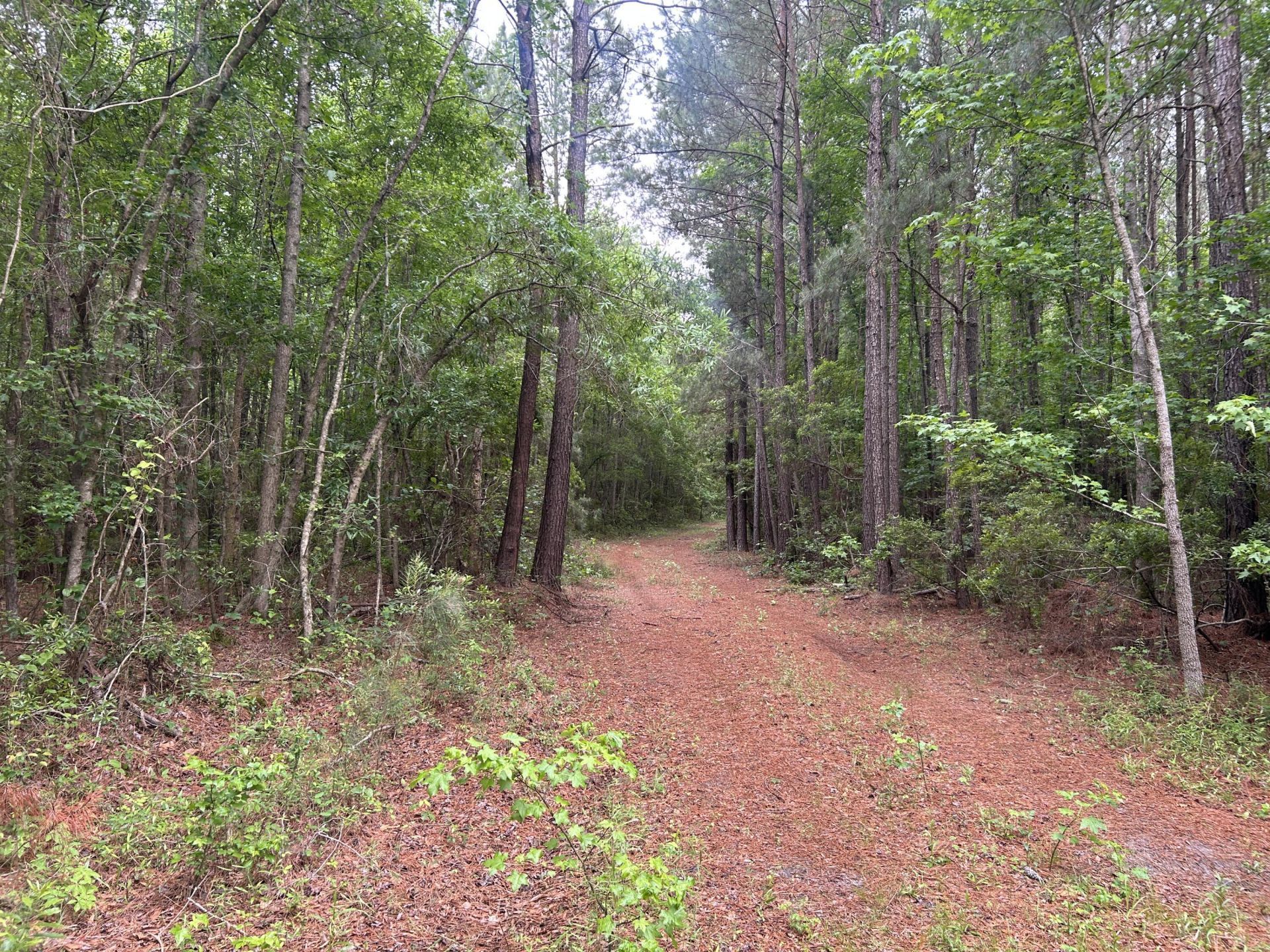0 Pineview Farm Road Photo 5