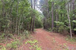 0 Pineview Farm Road photo 4