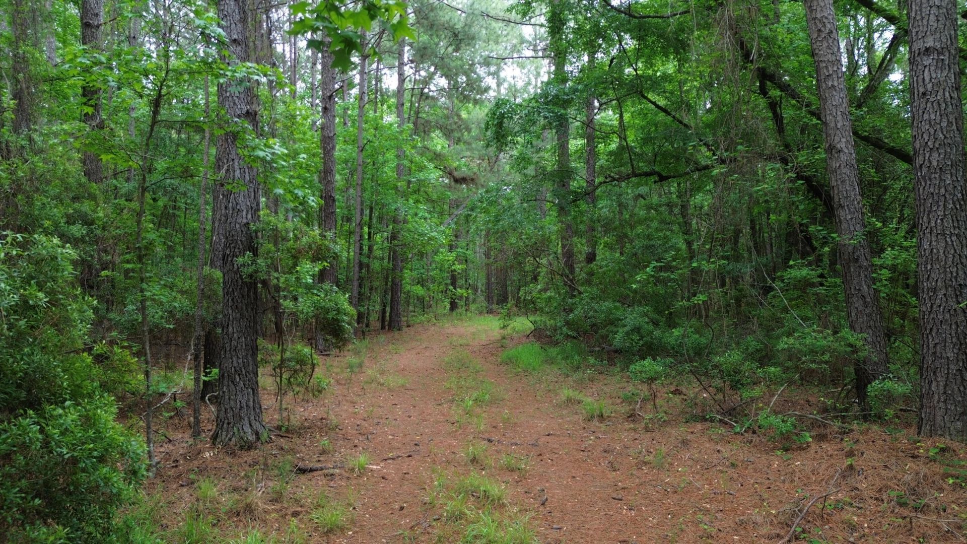 0 Pineview Farm Road Photo 7