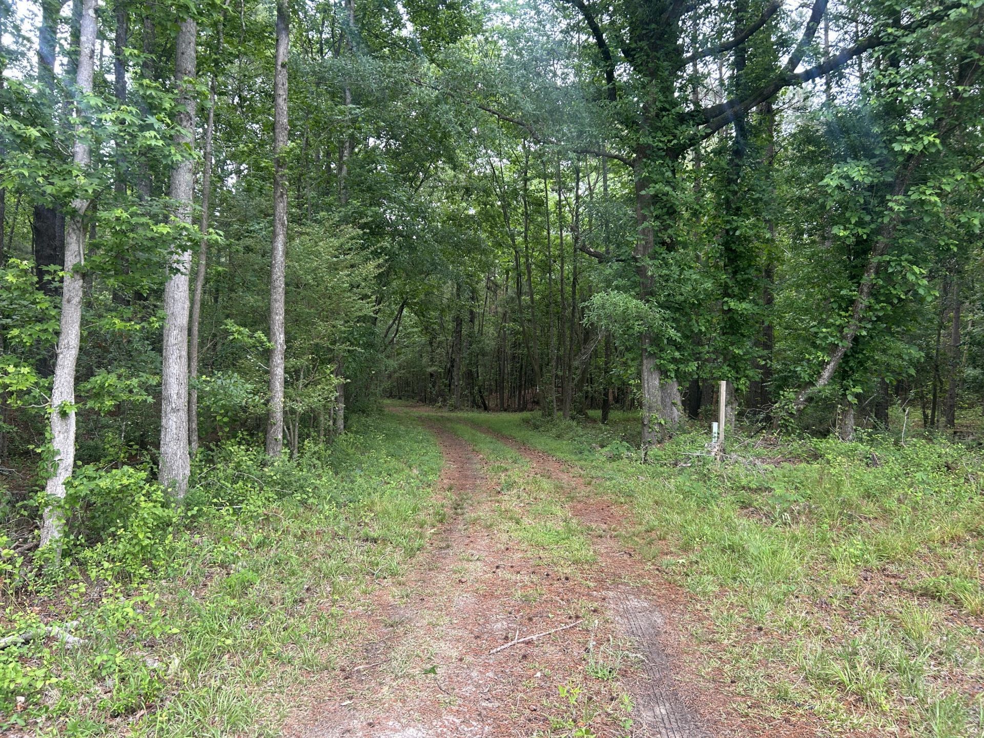 0 Pineview Farm Road Photo 9