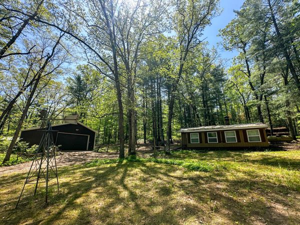 8923 W Toma Trail, Irons, MI 49644