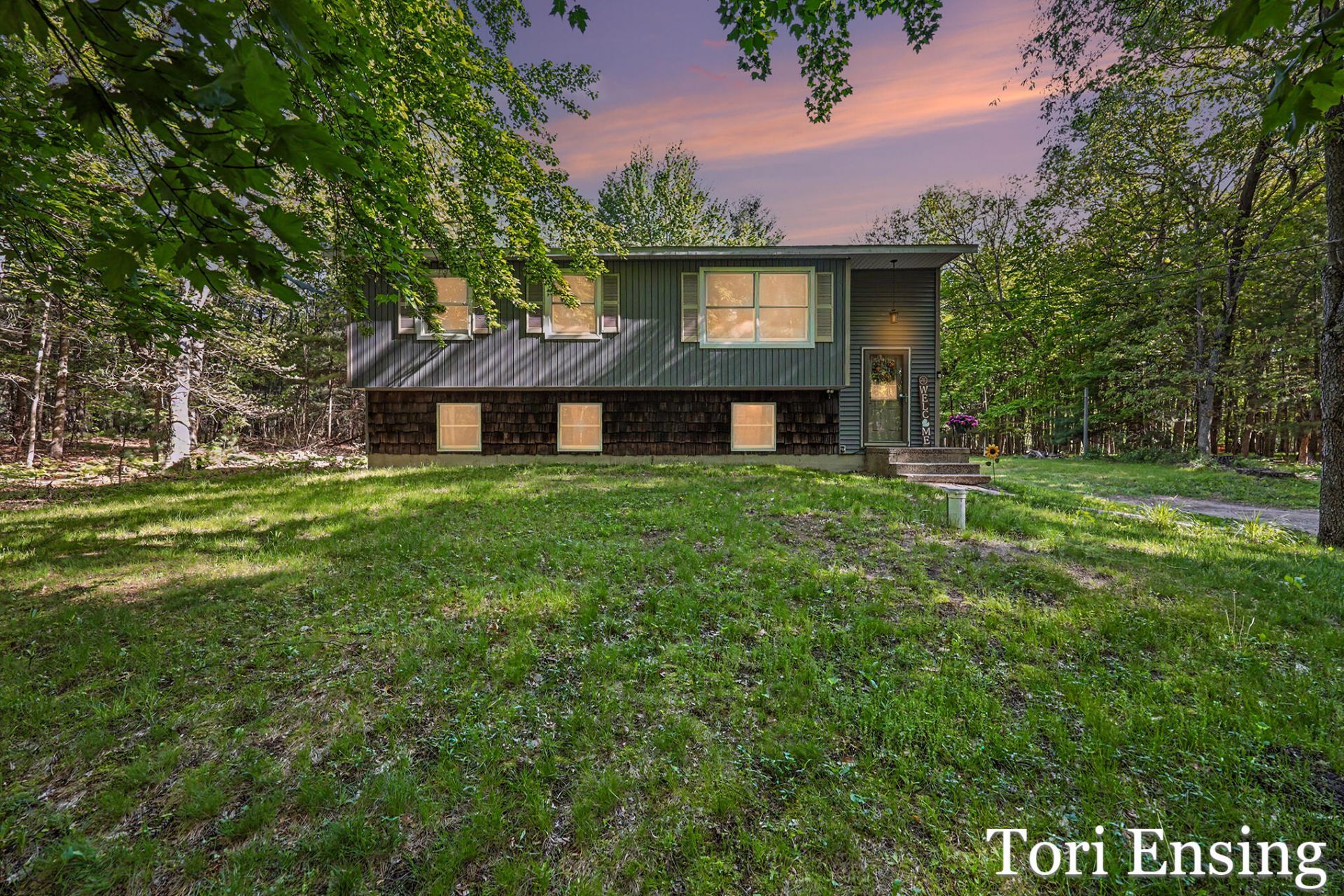 10688 Velma Drive, Greenville, MI 48838 Main Photo