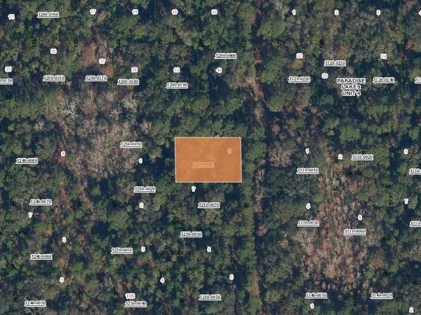 SPRUCE DRIVE , GEORGETOWN, FL 32139