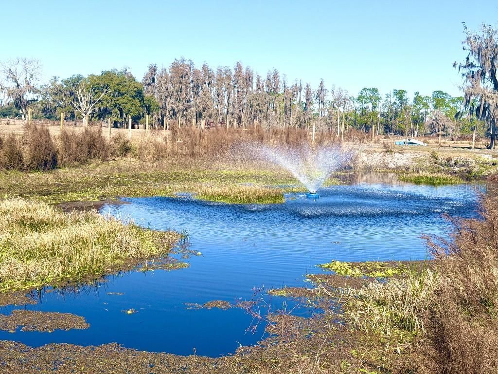 8206 Back Road, Plant City, FL 33565 Photo