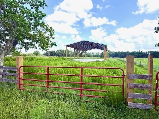 8206 Back Road, Plant City, FL 33565 Photo
